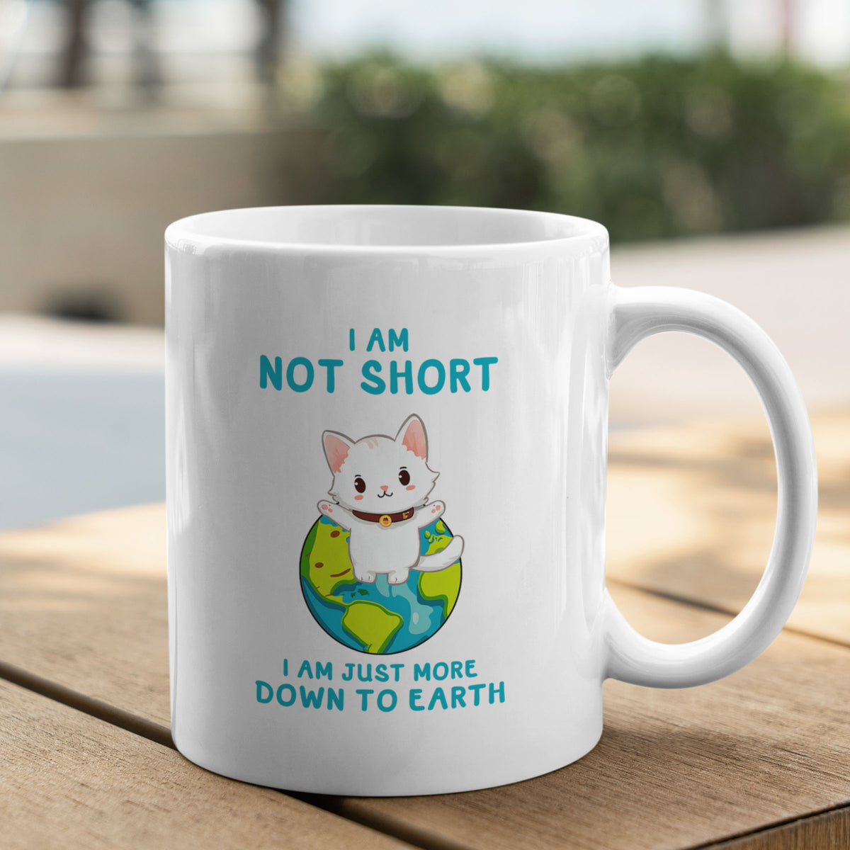 I’m Not Short, I’m More Down to Earth Funny Cat Mug – Cute Gift for Cat Lovers