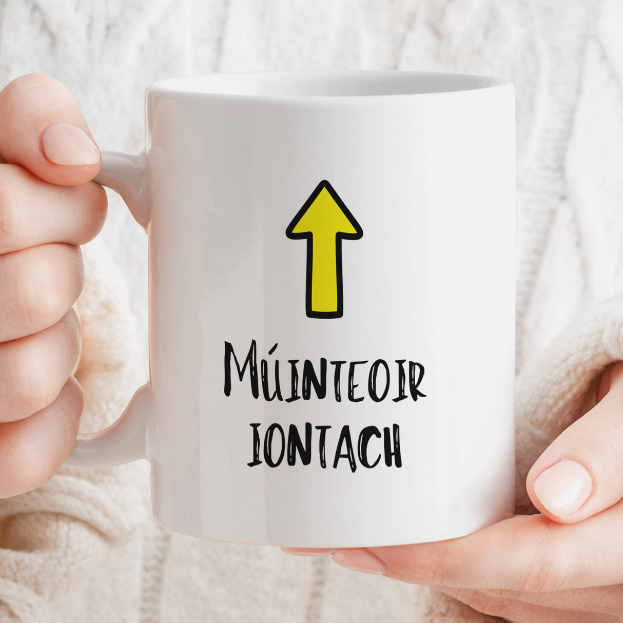 Múinteoir Iontach Mug (Great Teacher) – Irish Teacher Gift