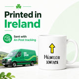 Múinteoir Iontach Mug (Great Teacher) – Irish Teacher Gift